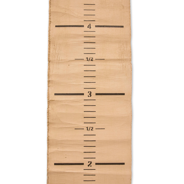 Distressed Canvas Growth Chart