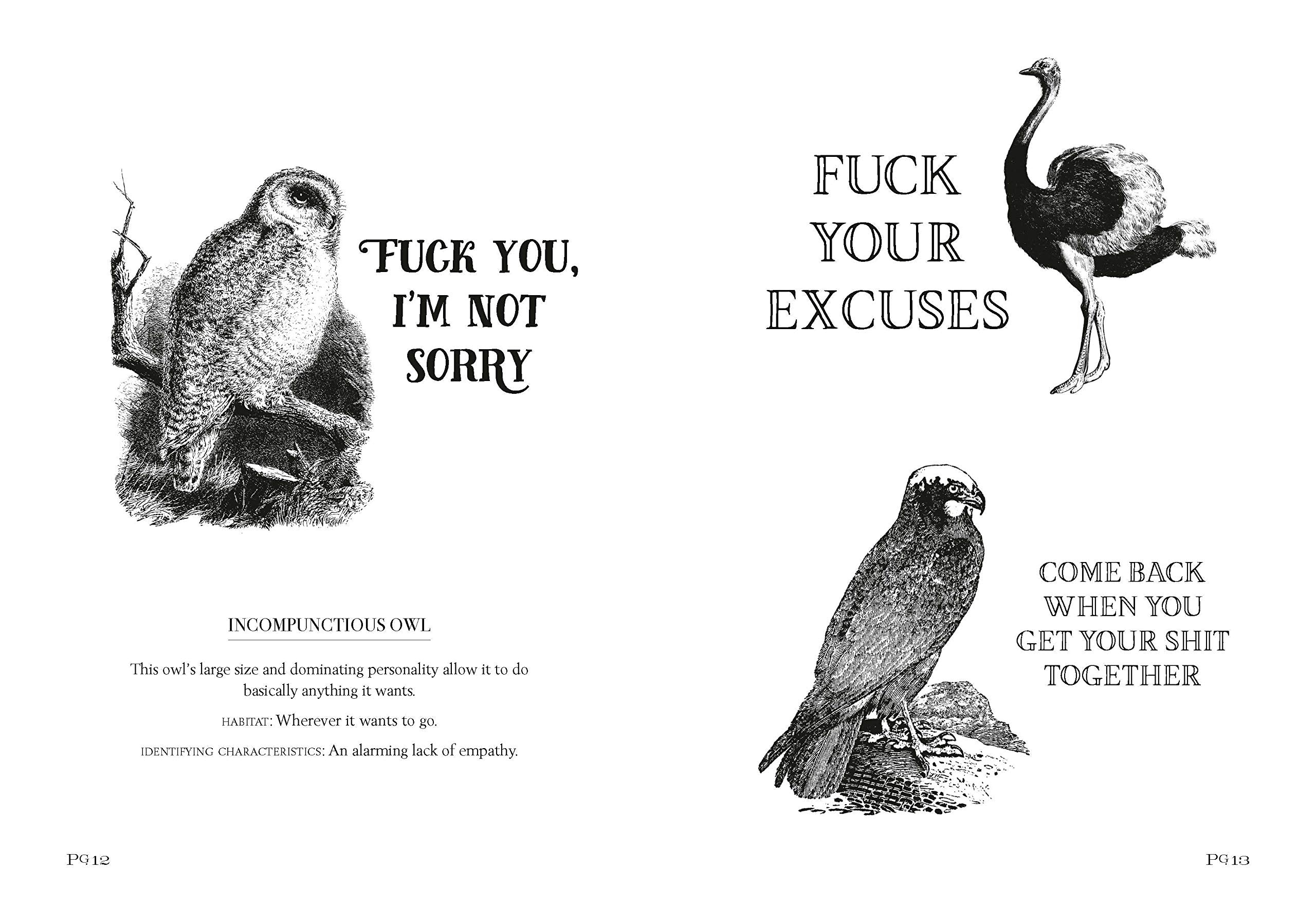 Effin'Oiseaux | Reynolds