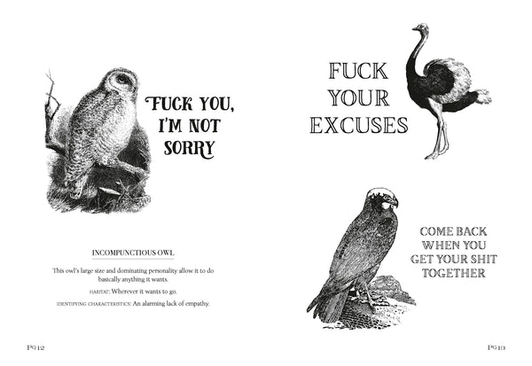 Effin'Oiseaux | Reynolds