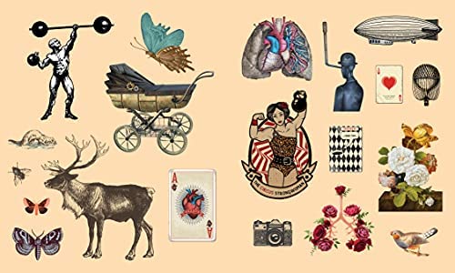 Sticker Studio Book | Arcana