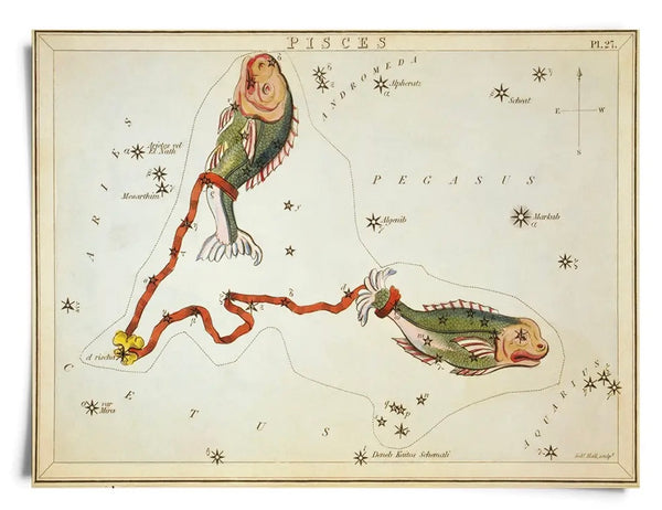 Astrologie du signe du zodiaque vintage | Impression artistique 8" x 10"