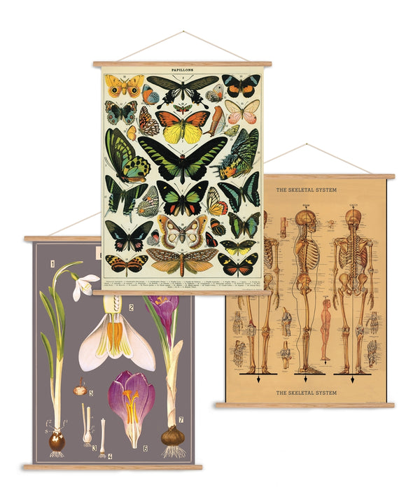 Kits d'affiches anciennes