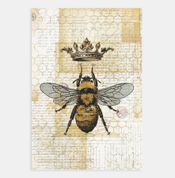 Feuilles simples d'emballage/découpage de créateur | 19" x 29" {Modèles multiples}