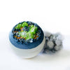 Geode Bath Bombs