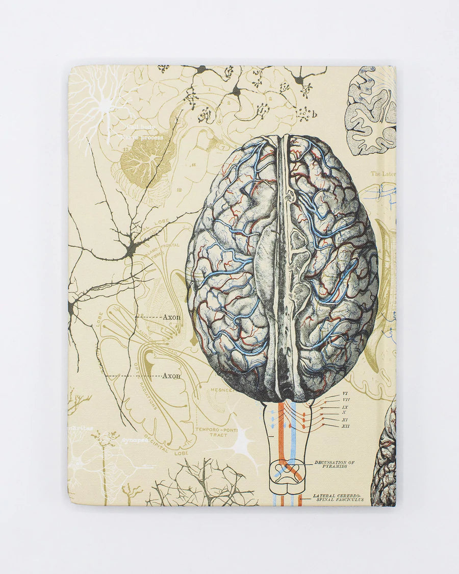 Carnet de laboratoire sur le cerveau et les neurosciences