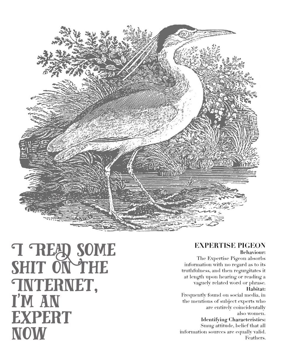 Effin'Oiseaux | Reynolds
