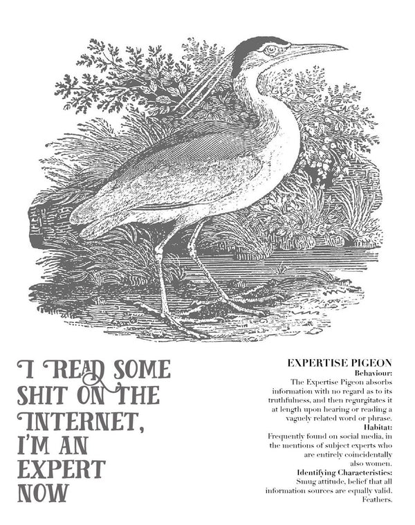 Effin'Oiseaux | Reynolds