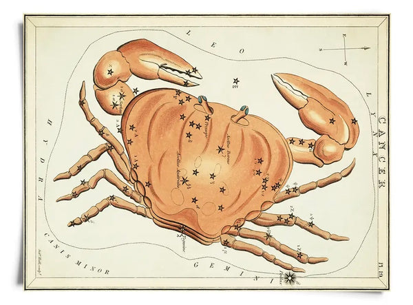 Astrologie du signe du zodiaque vintage | Impression artistique 8" x 10"