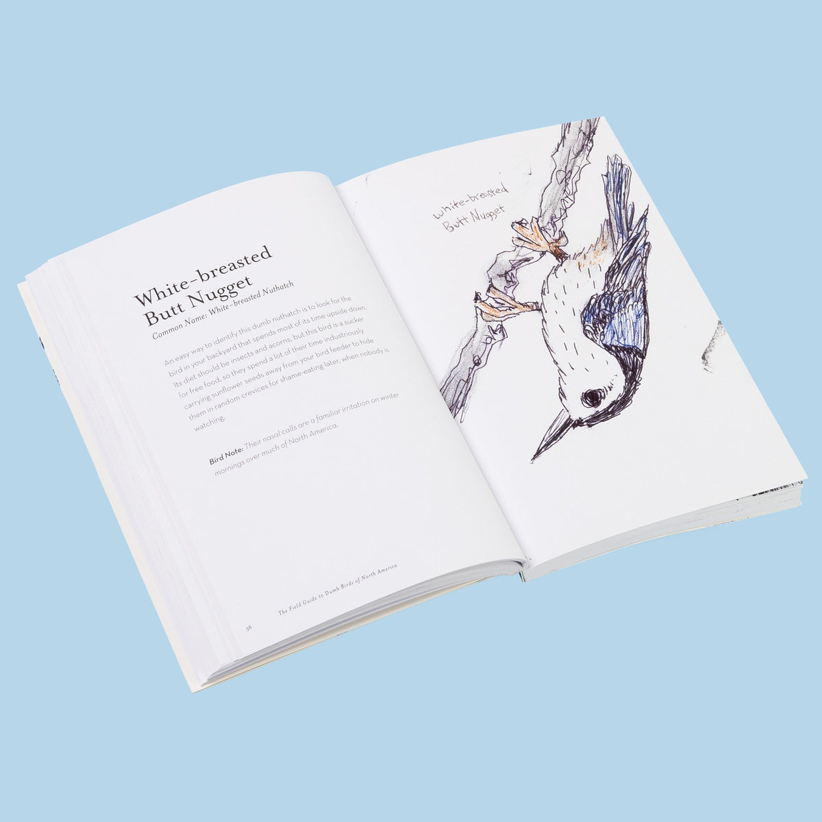 The Field Guide to Dumb Birds of North America
