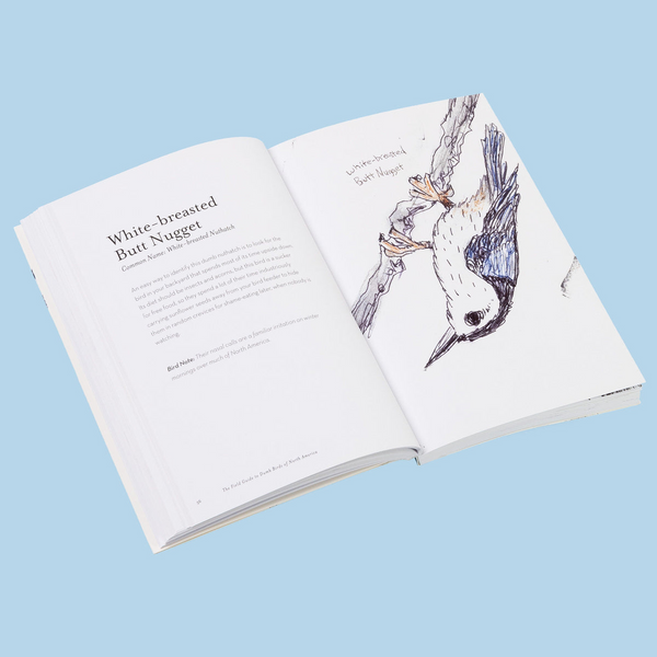 The Field Guide to Dumb Birds of North America