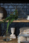 Giza Display Case {Multiple Sizes}