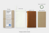 Traveler’s Notebook | Regular Size {multiple colors}