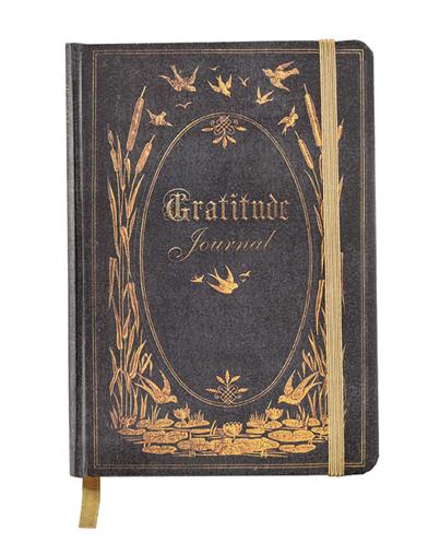 Il était une fois un journal de gratitude