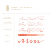 Ferris Wheel Press Fountain Pen Ink | 85mL {multiple colors}