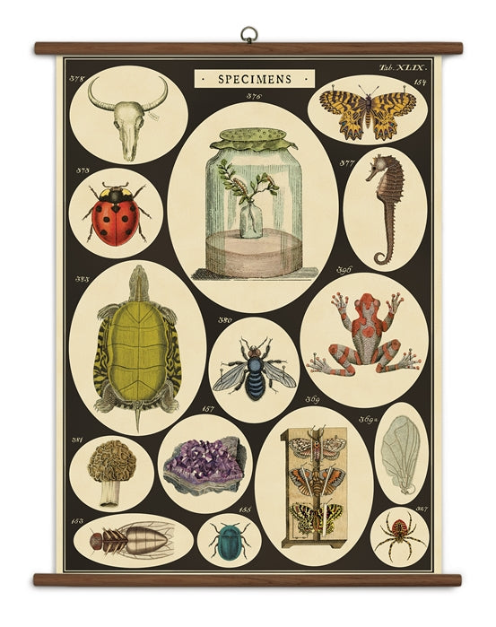 Cartes scolaires d'inspiration vintage {plusieurs styles}