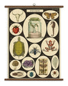 Cartes scolaires d'inspiration vintage {plusieurs styles}