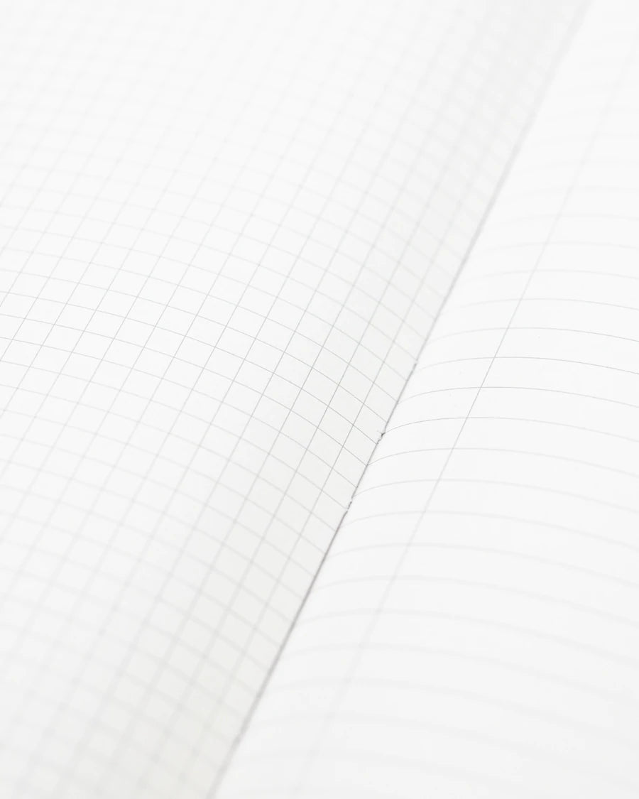 Carnet de laboratoire sur le cerveau et les neurosciences