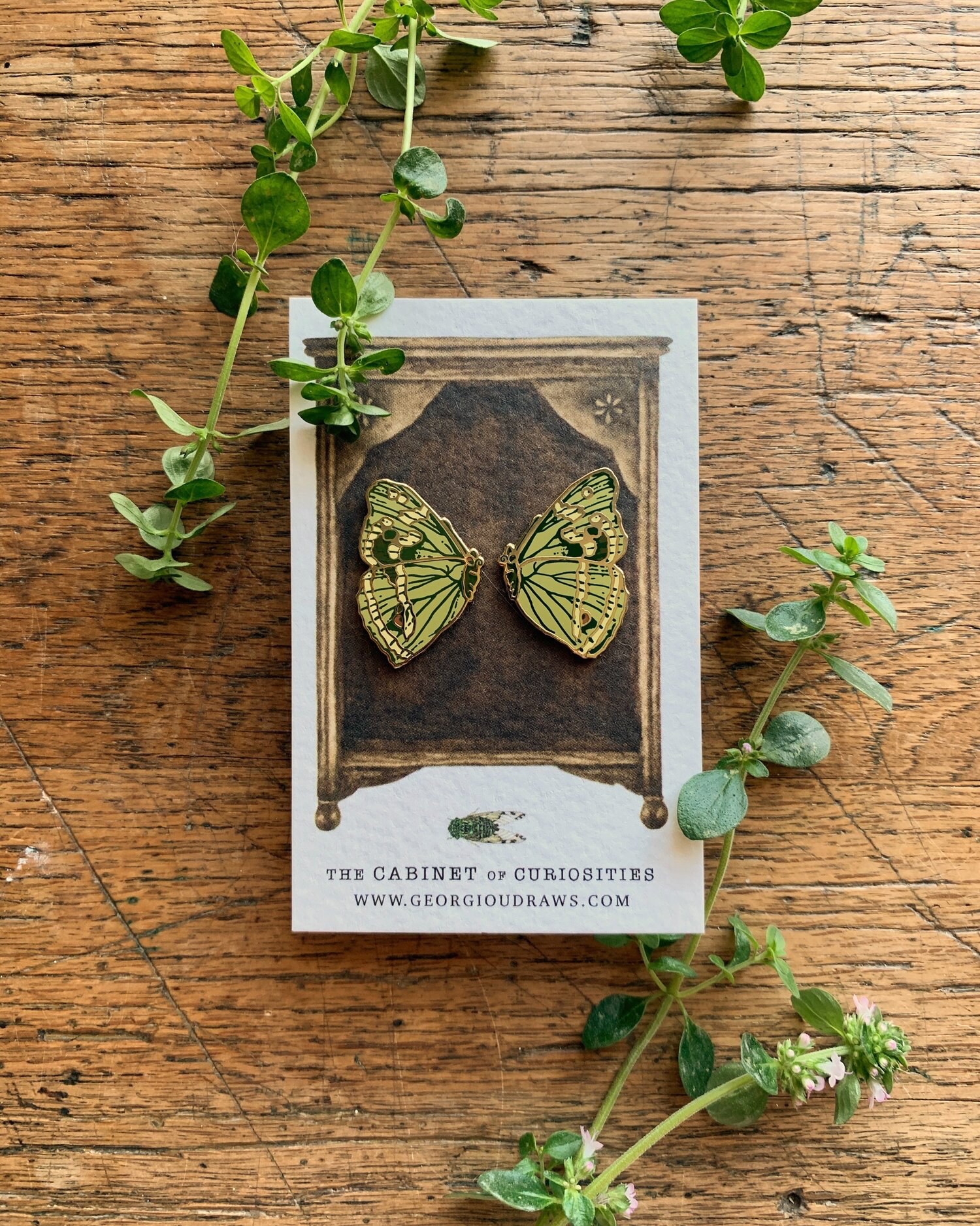 Butterfly Wings Entomology Enamel Pin Set