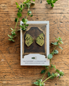 Butterfly Wings Entomology Enamel Pin Set