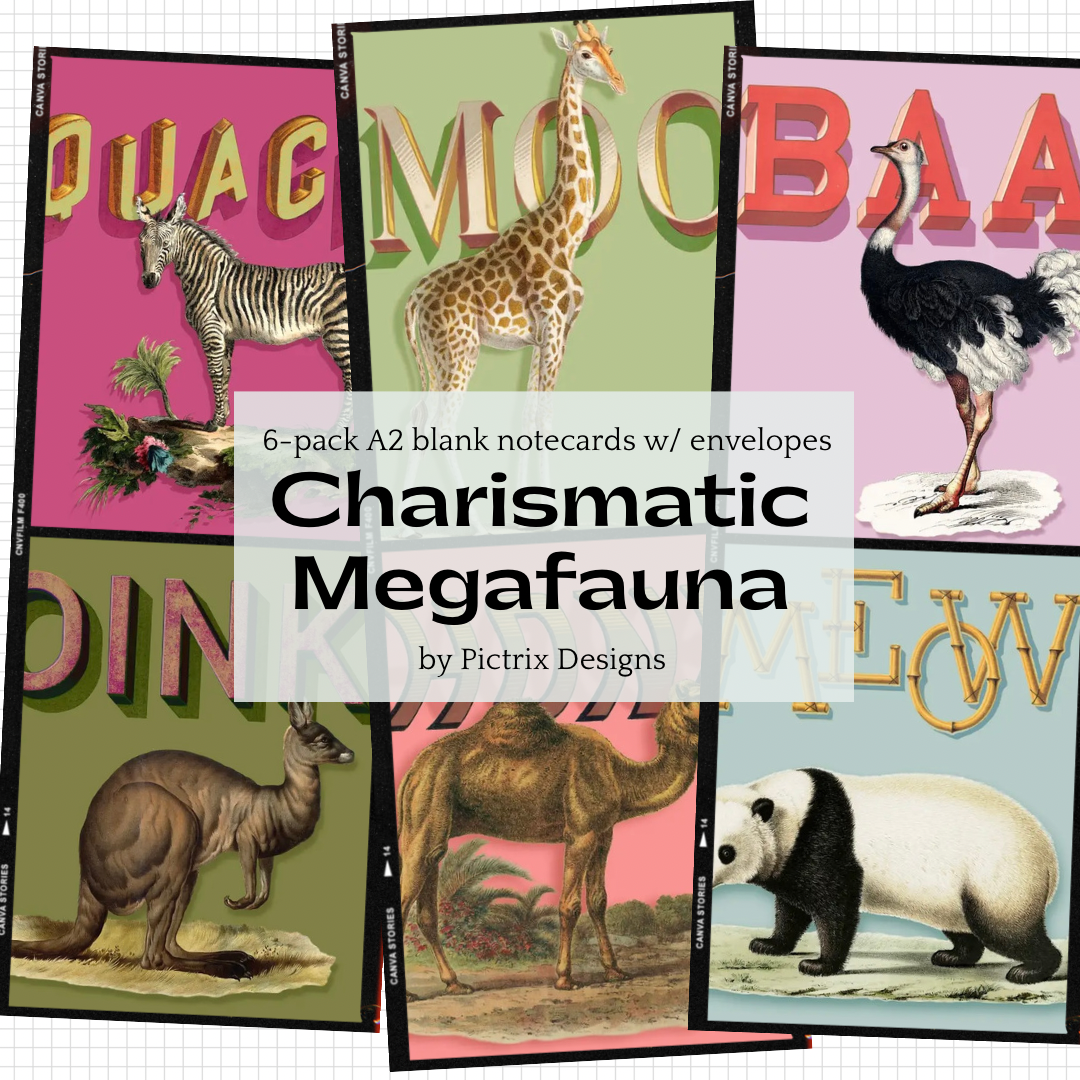 Ensemble de cartes en boîte | Mégafaune charismatique {6-pack}