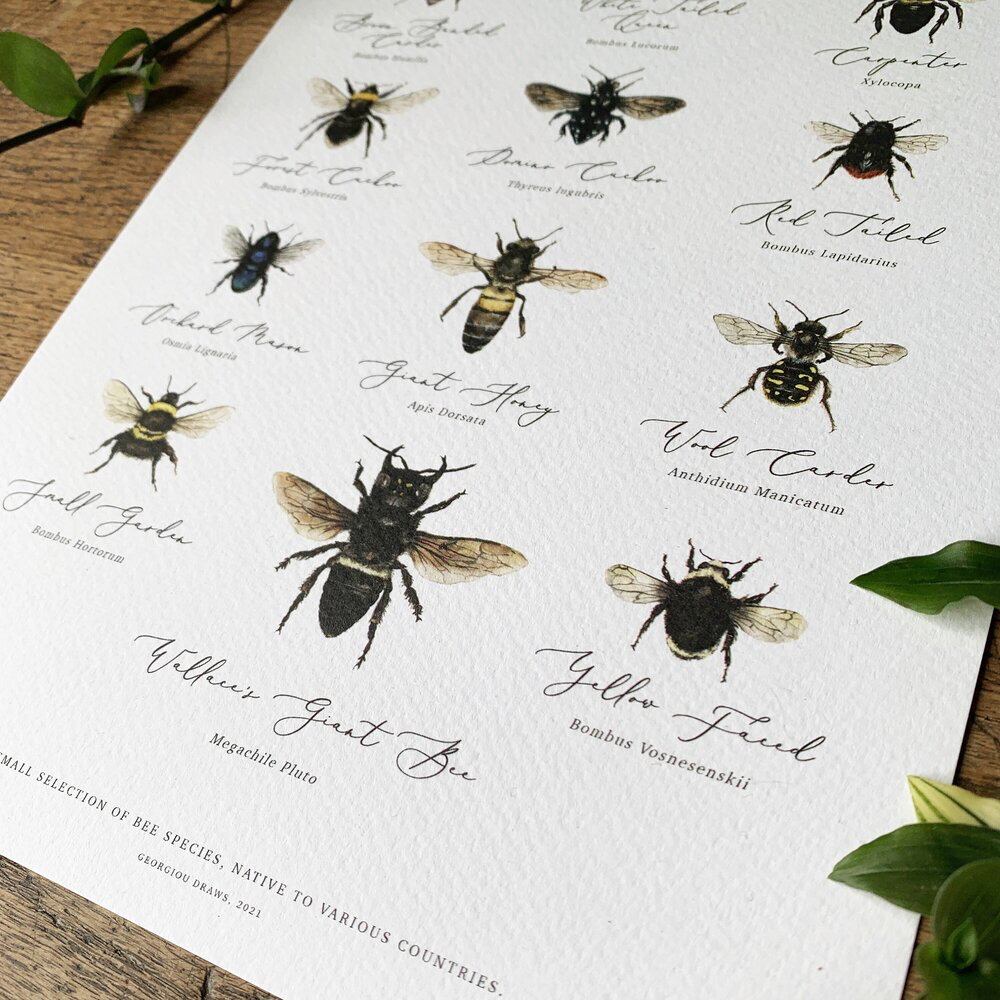Abeilles du monde aquarelle Art Print