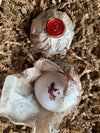 Potager Bath Bombs {multiple fragrances}