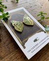 Butterfly Wings Entomology Enamel Pin Set