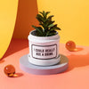 Planter with Drip Tray {multiple designs}