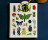 Curio Embroidered Sketchbook