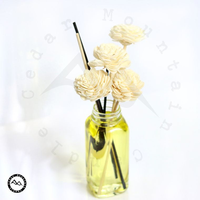 Diffuseur de roseaux de fleurs de bois Sola {parfums multiples}