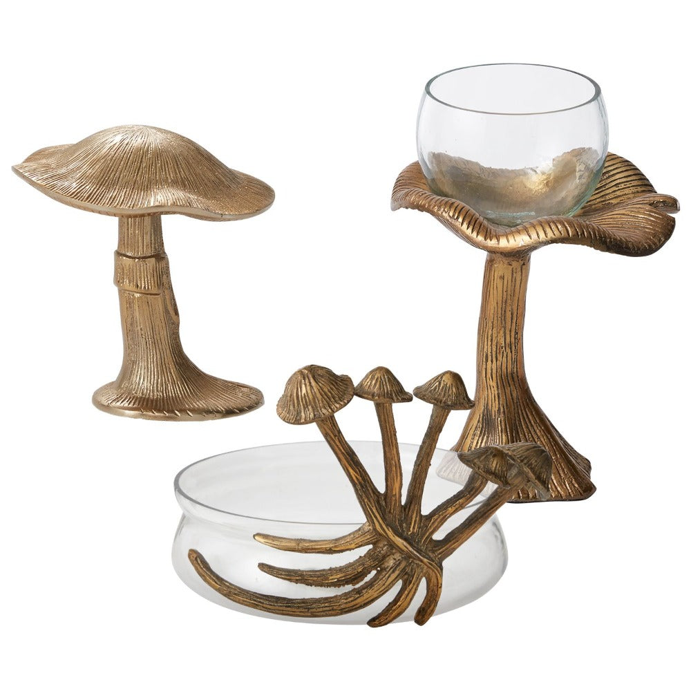 Collection Lichen {plusieurs styles}