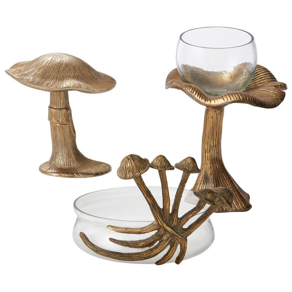 Collection Lichen {plusieurs styles}