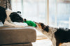 Dog Toys | Mutt Hatter {multiple styles}