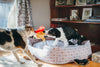 Dog Toys | Mutt Hatter {multiple styles}