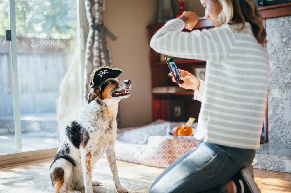 Dog Toys | Mutt Hatter {multiple styles}
