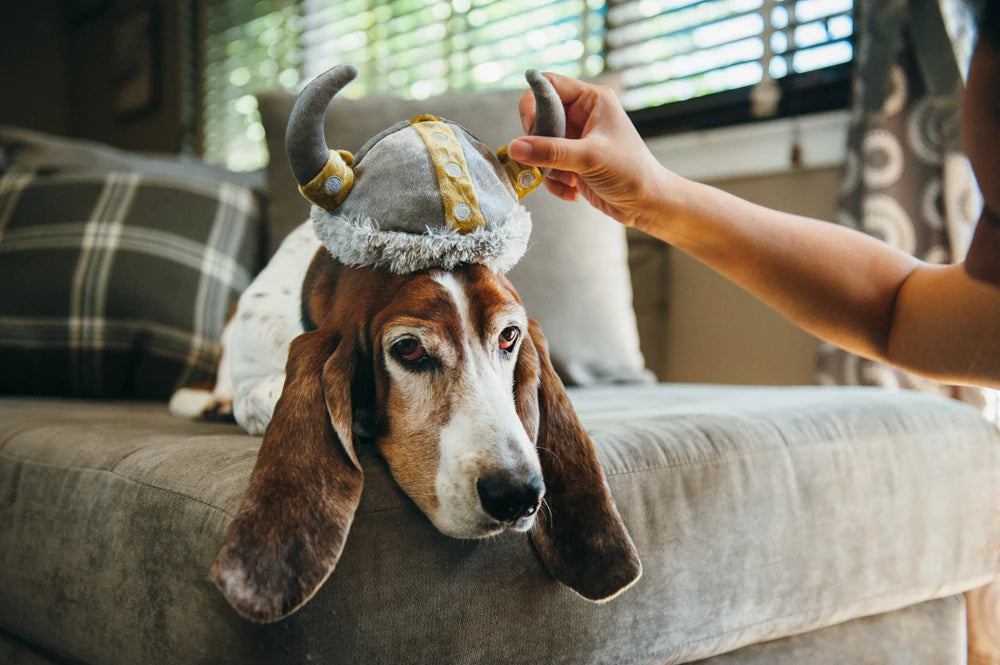 Dog Toys | Mutt Hatter {multiple styles}