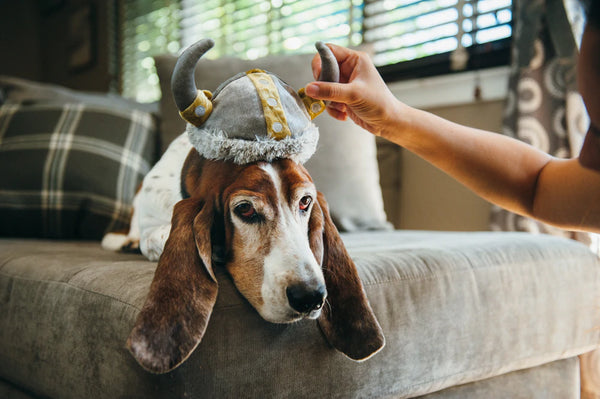 Dog Toys | Mutt Hatter {multiple styles}
