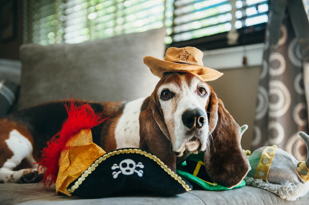 Dog Toys | Mutt Hatter {multiple styles}