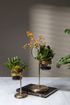 Pot Spyglass {plusieurs tailles}