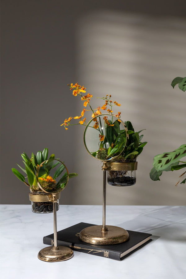 Pot Spyglass {plusieurs tailles}