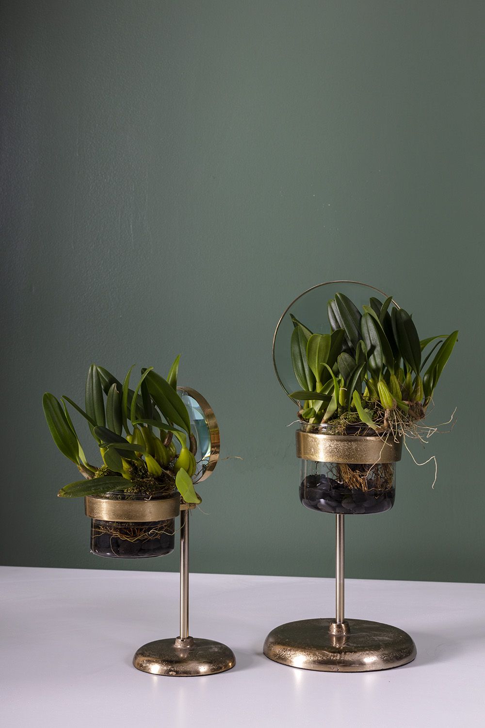 Pot Spyglass {plusieurs tailles}