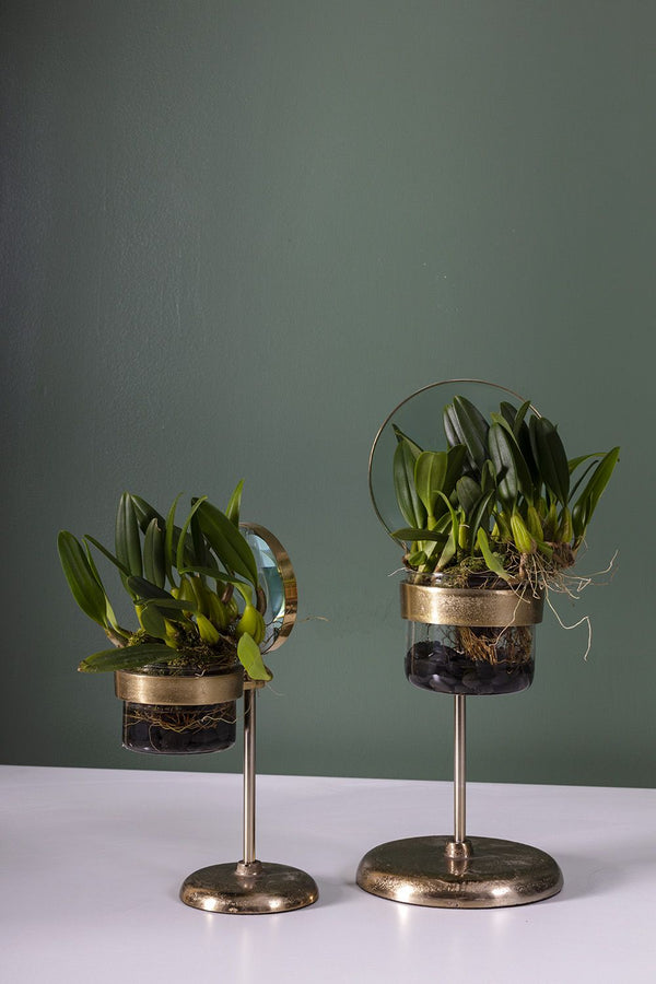 Pot Spyglass {plusieurs tailles}