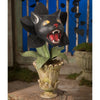 Orchidée chat effrayante