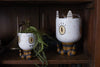 Tentacle Pot {multiple sizes}