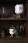 Tentacle Pot {multiple sizes}