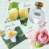Bianca Profumo d'Ambiente Reed Diffuser {clearance}