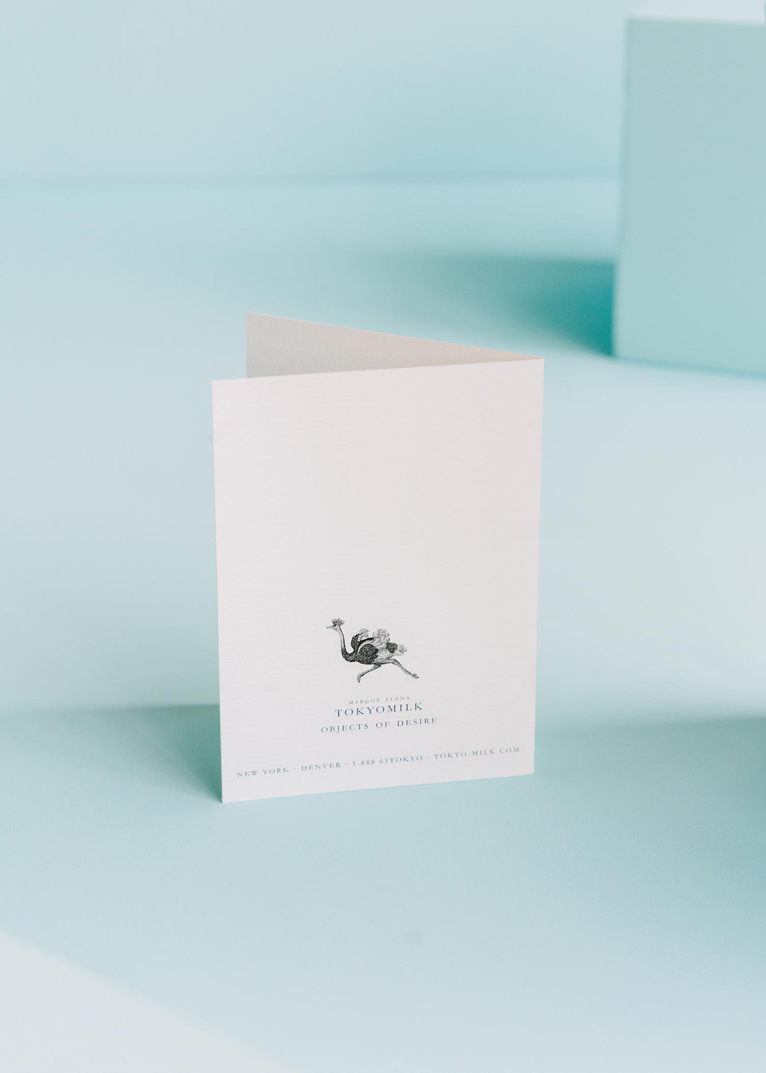 Hipster Gnomes Friendship/All Occasion Card