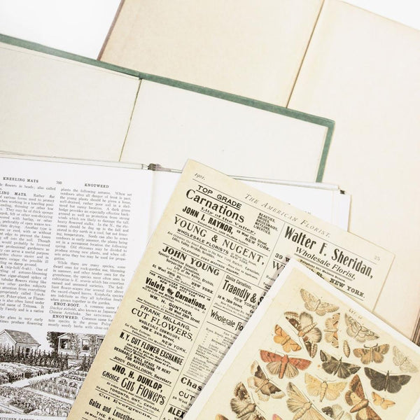 Vintage Artistry Naturalist Bookplates {Curators}