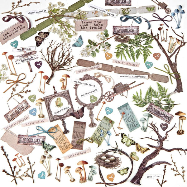 Nature Study Cut-Outs {multiple styles}