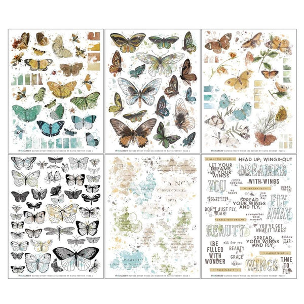 Wings 6x8 Rub-ons Pack {Nature Study}